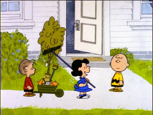 Peanuts 1970s Collection