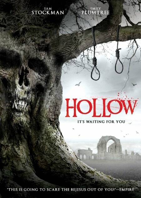 Hollow DVD