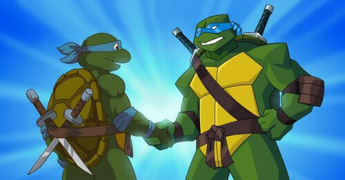 Turtles Forever DVD
