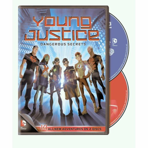 Young Justice Dangerous Secrets